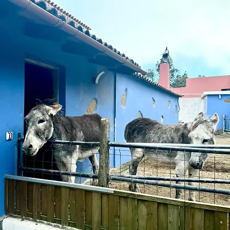 بيت للعطل Casa Antigua La Esperanza (Tenerife)