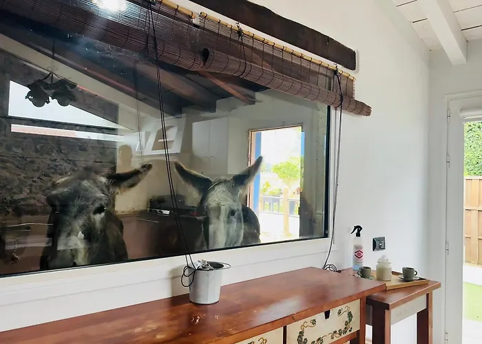 Casa Antigua Casa de Férias *