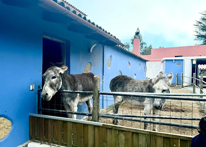Casa de Férias Casa Antigua La Esperanza (Tenerife)