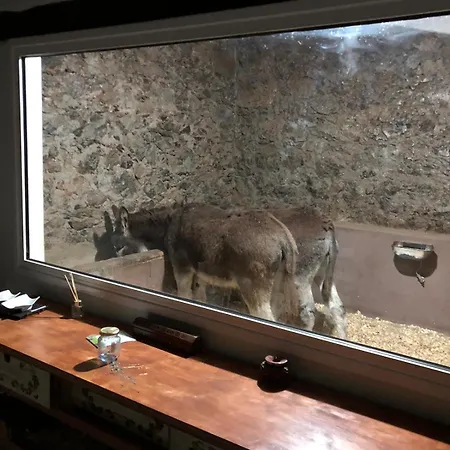 Casa Antigua Tatil Evi La Esperanza (Tenerife)
