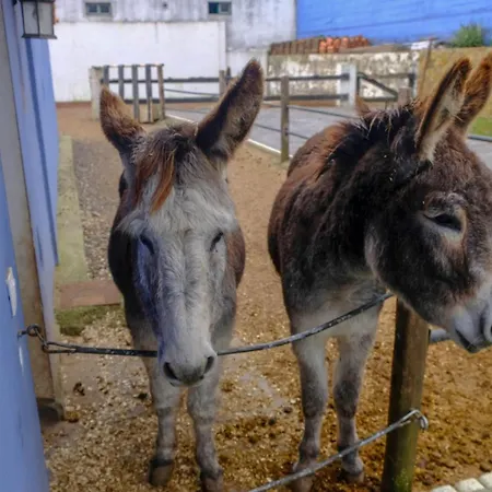 Casa Antigua Ferienhaus La Esperanza (Tenerife)
