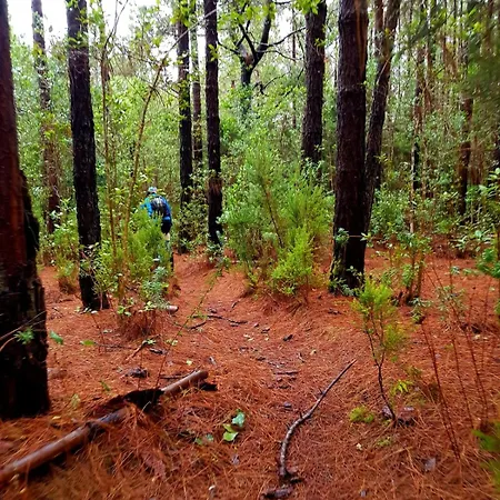 Ferienhaus Casa Antigua