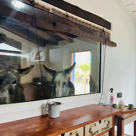 Casa Antigua Ferienhaus *