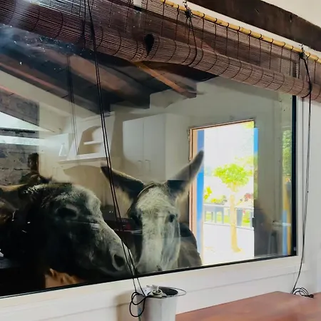 Casa Antigua Tatil Evi