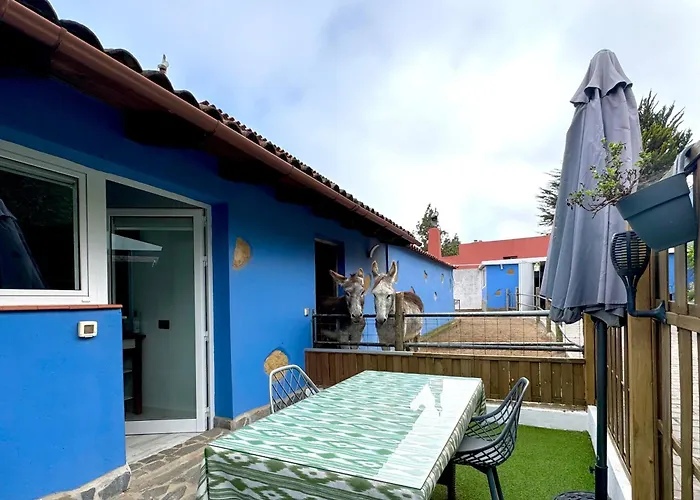 Сasa de vacaciones Casa Antigua *