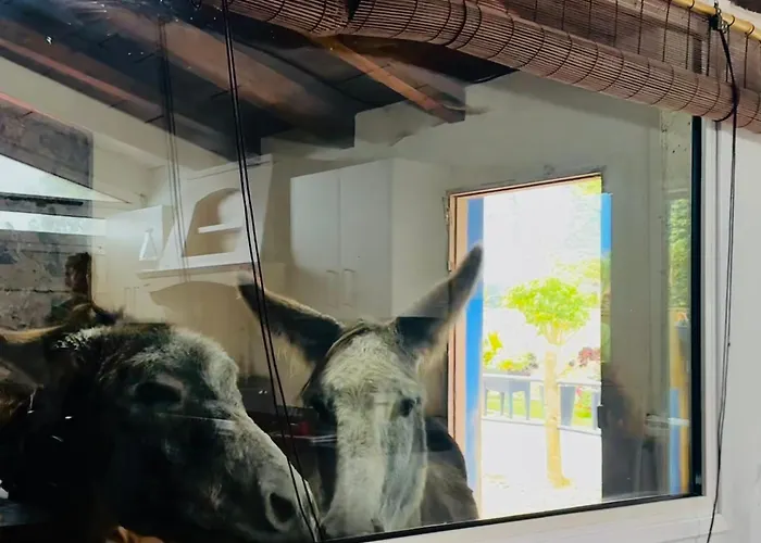 Casa Antigua Сasa de vacaciones