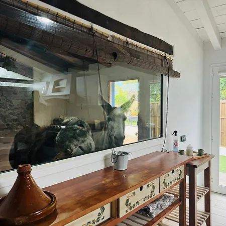 Casa Antigua La Esperanza (Tenerife)